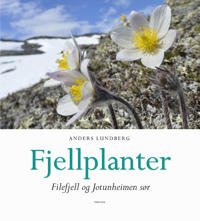 Fjellplanter Av Anders Lundberg