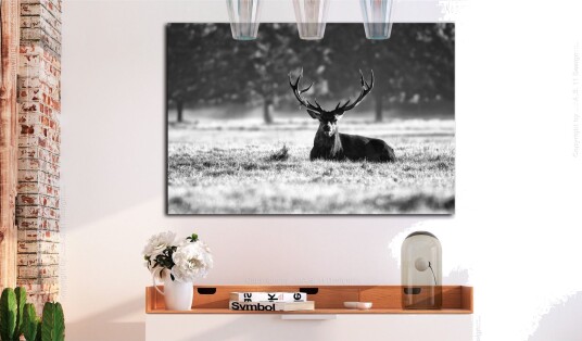 Tavle Lying Deer 120X80 Artgeist sp. z o. o.