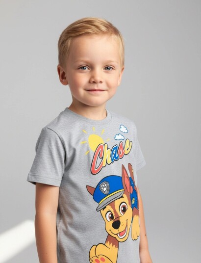 Paw Patrol Tshirt Grey 116 Paw Patrol Tshirt Grey 116