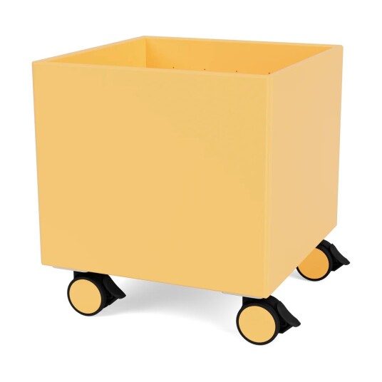 Montana Colour Box I - S6161 Acacia Montana Colour Box I - S6161 Acacia
