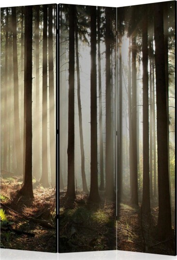 Romdeler Coniferous Forest - Artgeist sp. z o. o.