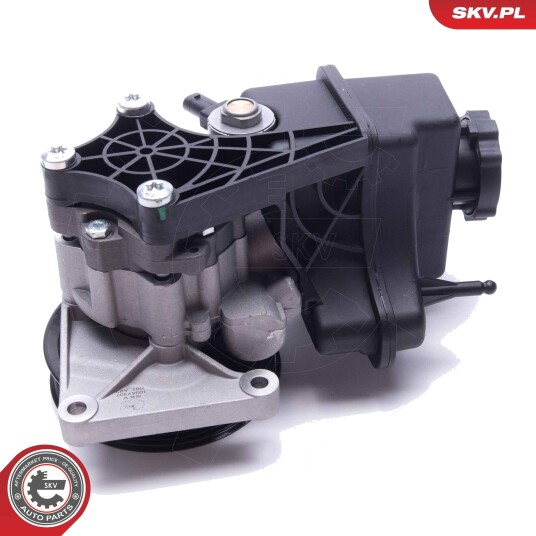 Servopumpe ESEN SKV 10SKV307