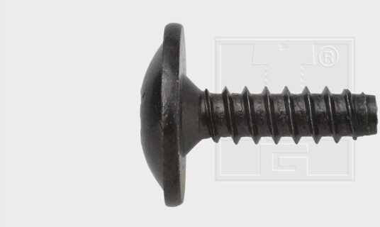 Plateskrue SWGAutomotive 50042880