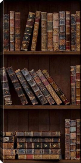 Canvasbilde DKY Reading and Literature Flerfarget 50x120 cm