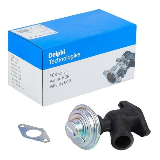 EGR Ventil DELPHI EG10423-12B1