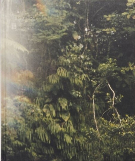 La Soufriere La Soufriere