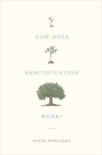 How Does Sanctification Work? Av David Powlison