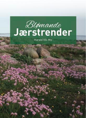 Blømande Jærstrender