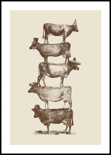 Cow Cow Nuts Plakat Plakat / 21x30cm