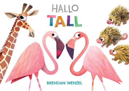 Hallo tall