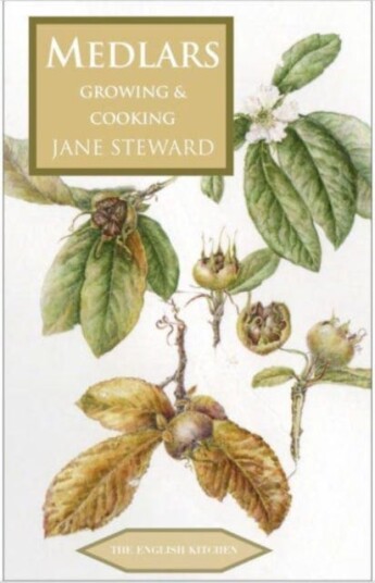 Medlars Av Jane Steward