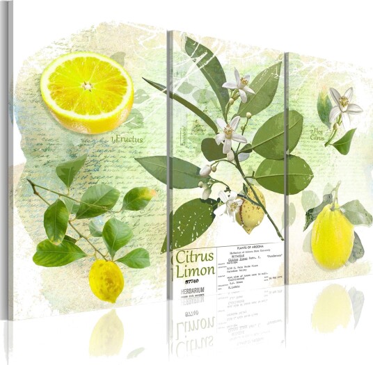 Bilde Fruit Lemon 120x80 Artgeist sp. z o. o.