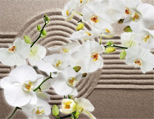 Fototapet Beautiful Zen Garden 250x193 - Artgeist sp. z o. o.