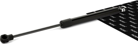 RIDEX 219G0714 Baklukedemper