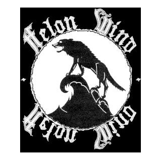 Felon Wind Felon Wind LP/Vinyl