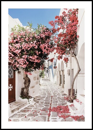 Pink Flower Trees in a Picturesque Alley Plakat Plakat / 21x30cm