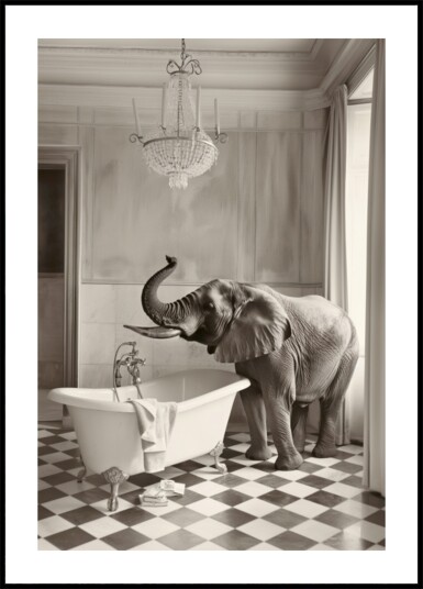 Elephant"s Elegant Bathtub Plakat / 70x100