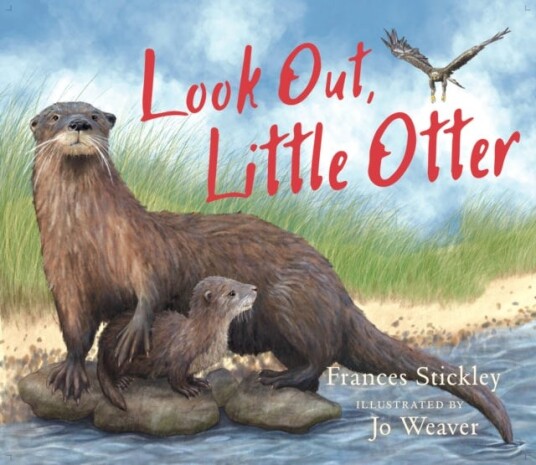 Look Out Little Otter Look Out Little Otter