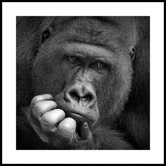 I had a Dream Poster Plakat / 100x100cm