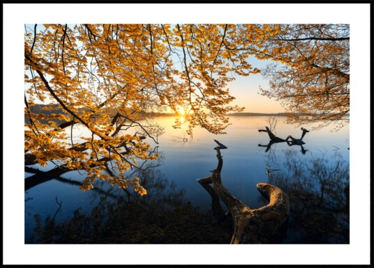 Golden Autumn Lake Sunrise Plakat / 21x30