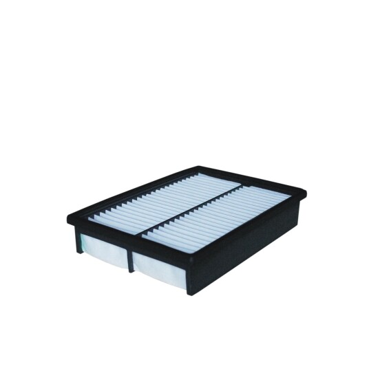Luftfilter FILTRON AP 113/2