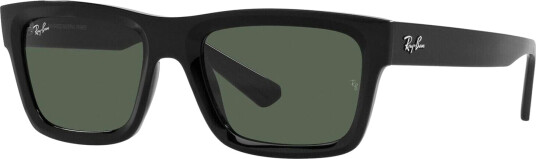 Ray-Ban Warren Black Dark Green Dark Green unisex