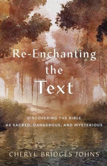 Re-Enchanting The Text - Discovering The Bible As Sacred, Dangerous, And Mysterious Av Cheryl Bridges Johns