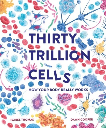 Thirty Trillion Cells How Your Body Really Works Thirty Trillion Cells How Your Body Really Works