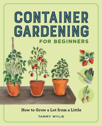 Container Gardening for Beginners  How to Grow a Lot from a Little