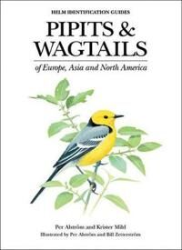 Alström Per Pipits and Wagtails of Europe Asia and North America