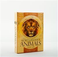 The Secret Language Of Animals Av Chip (Chip Richards) Richards The Secret Language Of Animals Av Chip (Chip Richards) Richards