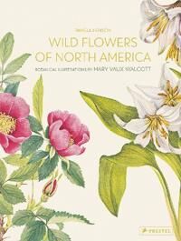 Wild Flowers Of North America