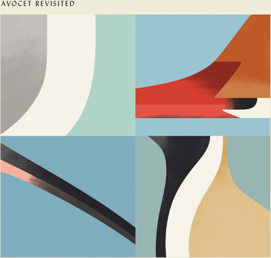 Avocet Revisited