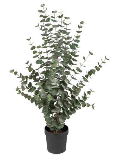 Mr Plant Kunstig Plante Eucalyptus H110 Mr Plant Kunstig Plante Eucalyptus H110