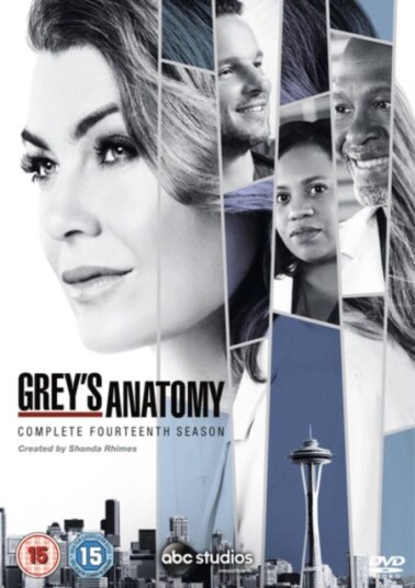 Grey's Anatomy Sesong 14 DVD Grey's Anatomy Sesong 14 DVD