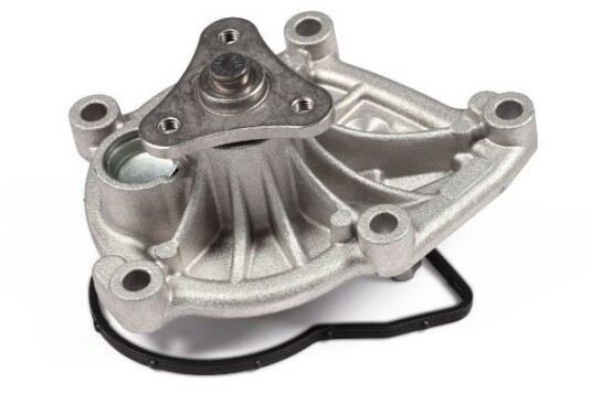 HEPU P495 Vannpumpe HEPU P495 Vannpumpe