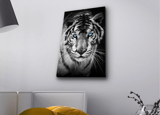 Lerretsbilde med LED belysning Portrett av en hvit tiger med blå øyne Svart / Hvit / Blå