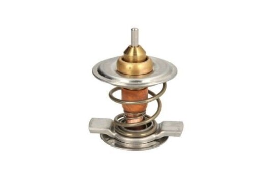 Termostat THERMOTEC D2CL001TT