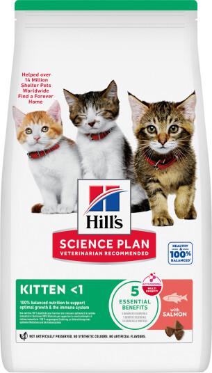 Hill'S Science Plan Feline Kitten Food Salmon Tørrfôr 7 kg
