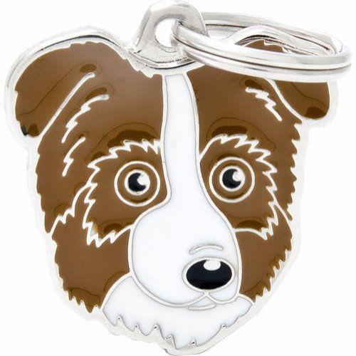 Myfamily ID-tag for Australian Shepherd - Brun