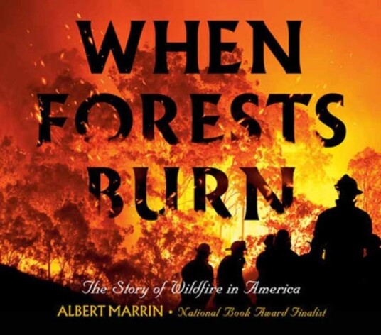 When Forests Burn  The Story of Wildfire in America