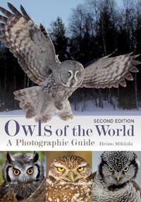 Mikkola Heimo Owls of the World: A Photographic Guide