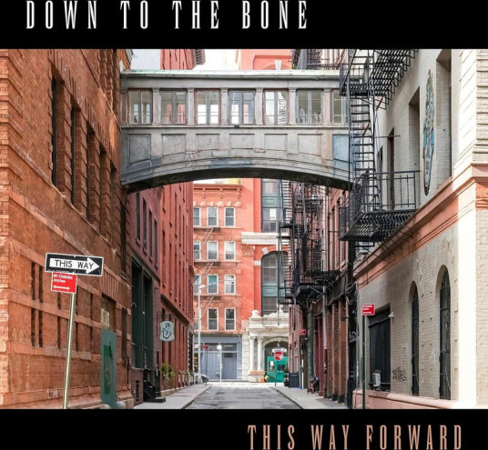 Down To The Bone This Way Forward CD