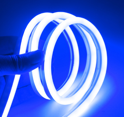 5m 8W/m Blå 8x16 Neon Flex LED 12V DC IP67