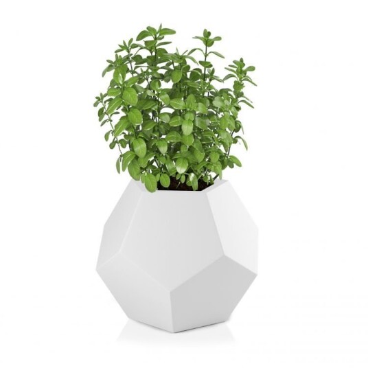 Selgro Design blomsterpotte MONUMO ALMA Hvit