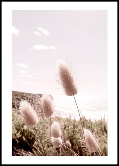 Beach Grass Plakat Plakat / 70x100cm