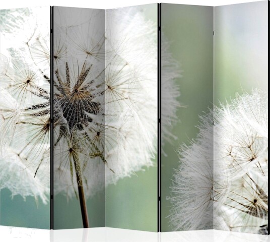 Romdeler - Two dandelion II 225x172 - Artgeist sp. z o. o.