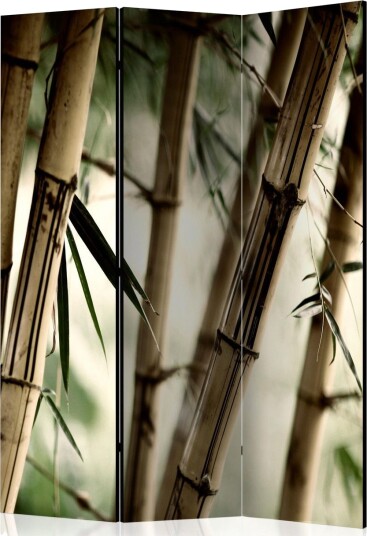 Romdeler Fog and Bamboo Forest - Artgeist sp. z o. o.