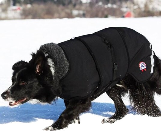 Canelana Vinterdekken Thermo til Hund 2XS Sort - Vind- og Vanntett Merinoull