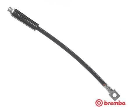 Bremseslange BREMBO T 24 022